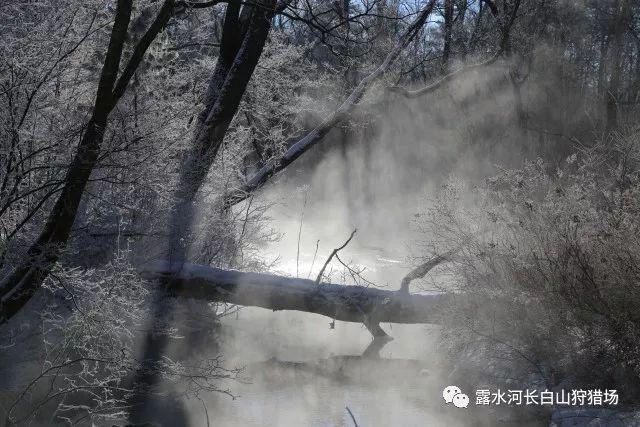 越了解祝绪丹,越理解贾玲的感慨