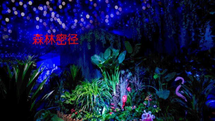 寻找战宝船